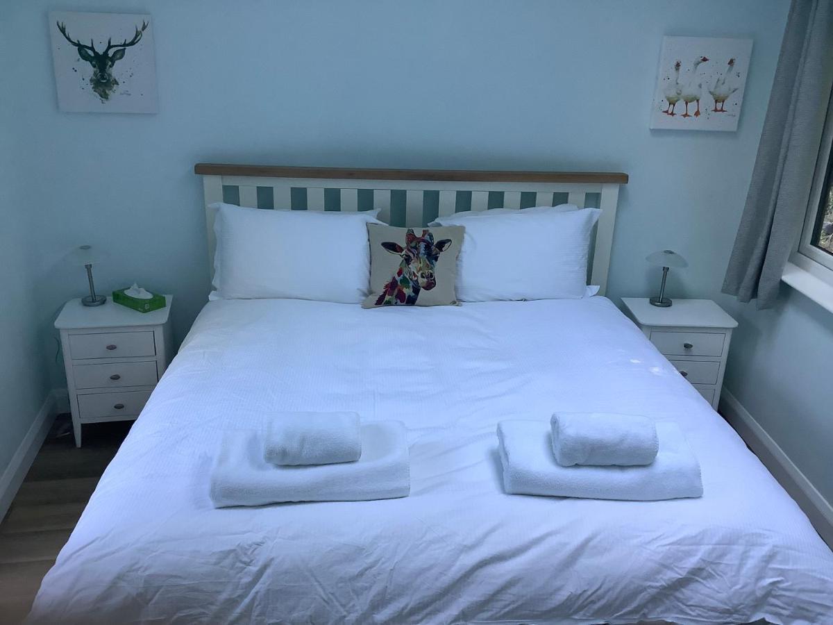 Charming Woodland Lodge 2 Person 1 Bedroom غريت يورماوث المظهر الخارجي الصورة